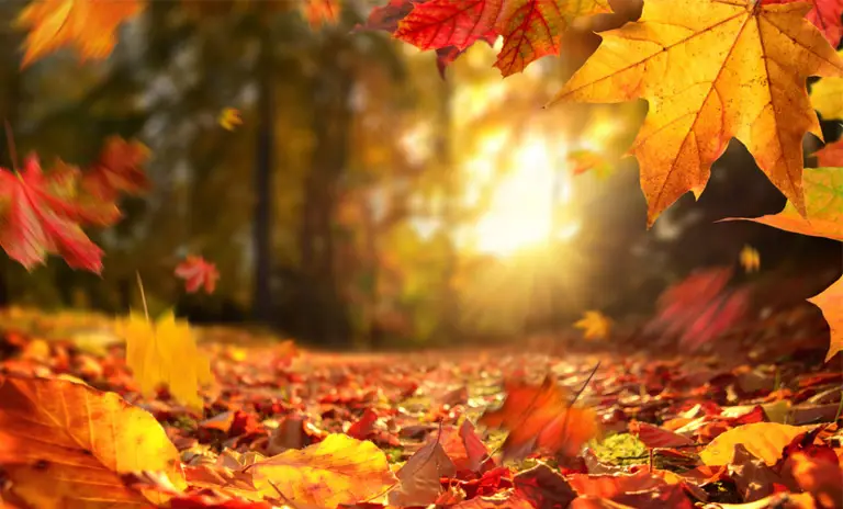 جاهای دیدنی تهران در پاییز جاهای دیدنی تهران در پاییز