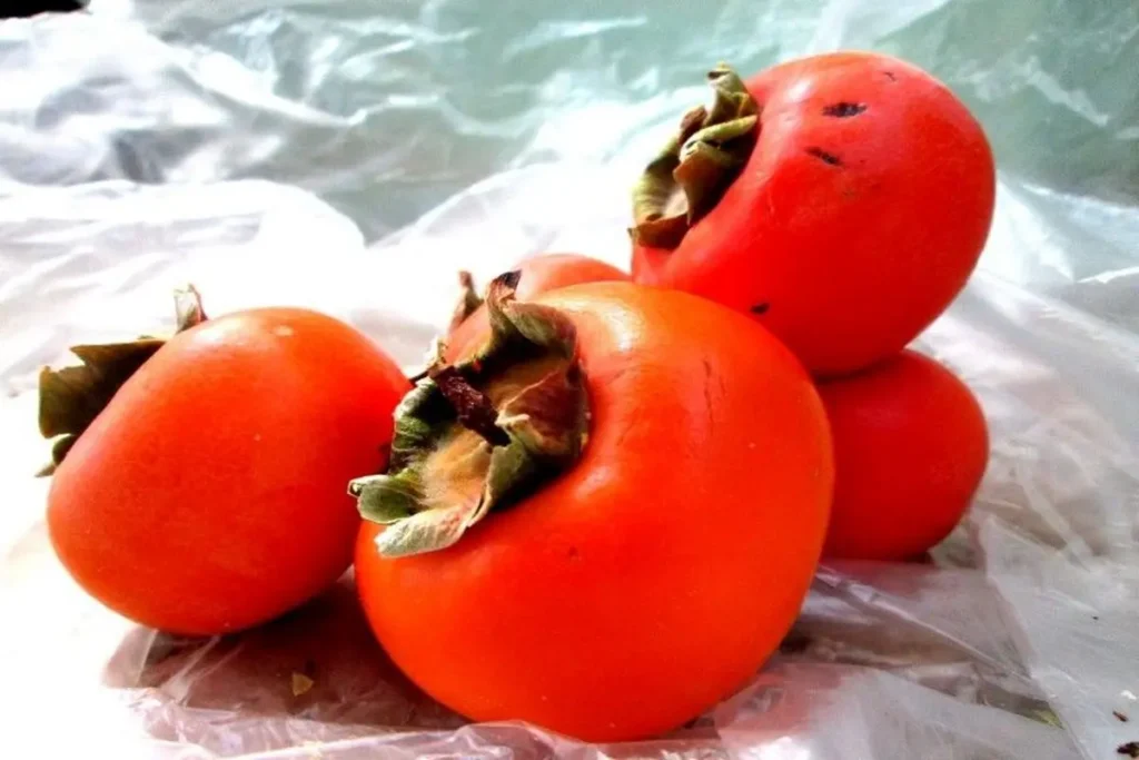 خواص خرمالو خواص خرمالو