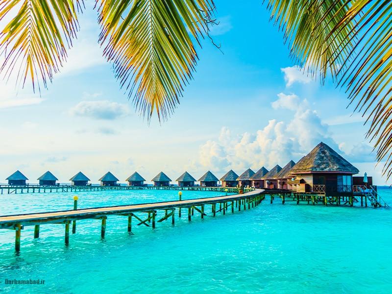 کیش مقصدی رویایی