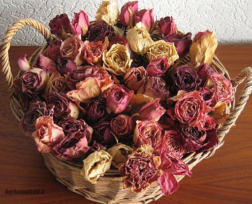 گل های طبیعی