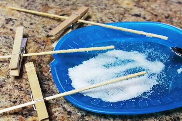 مرحله سوم: آماده‌سازی نی‌ها یا نخ‌ها برای نبات 