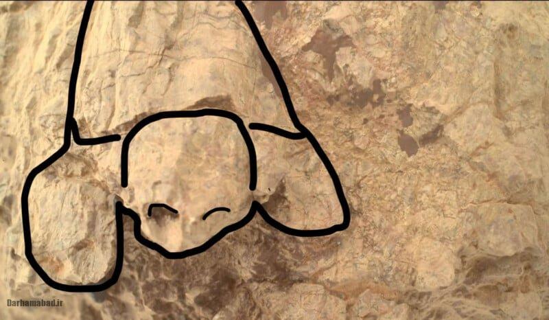 لاکپشت روی مریخ لاکپشت روی مریخ