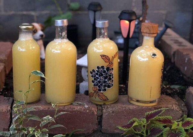 آب لیمو و آبغوره