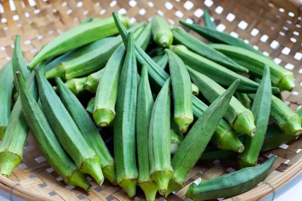 فریز کردن بامیه