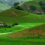 چهارمحال و بختیاری