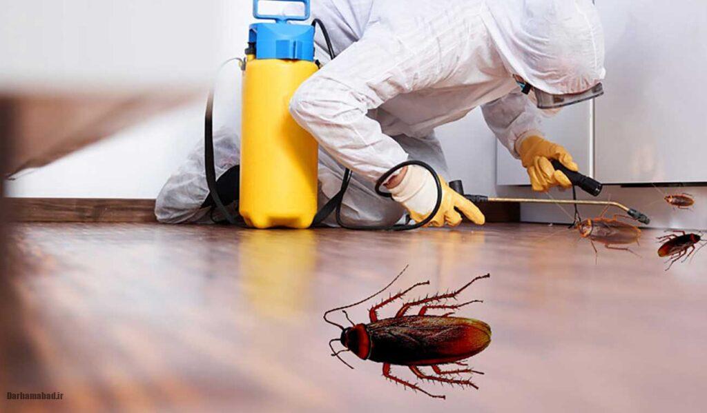 سوسک کابینت سوسک کابینت