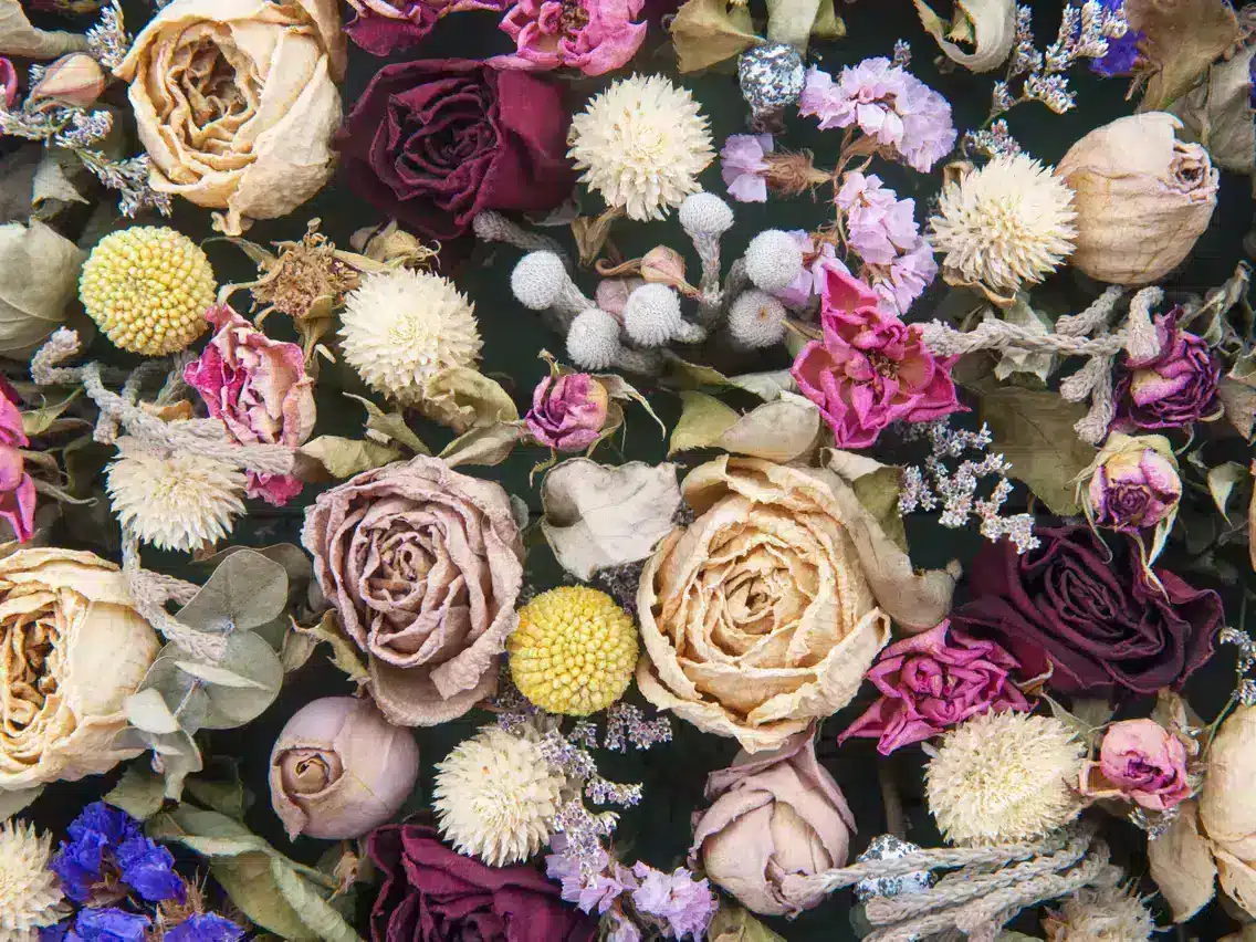 گل های طبیعی