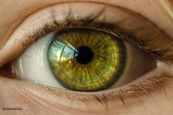 شخصیت شناسی رنگ چشم شخصیت شناسی رنگ چشم