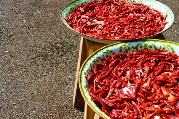 خشک کردن فلفل