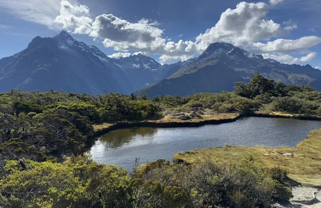 fiordland-national-park-new-zealand4 طبیعت نیوزلند