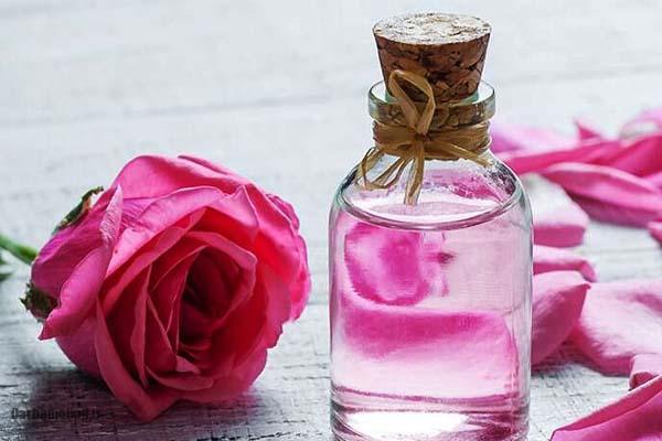 طرز تهیه گلاب در خانه؛ پنج روش آسان و کاربردی