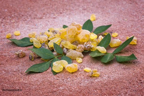 khvas kndar kh shoma ra shgftzdh khvahnd krd 9 faydh mohem