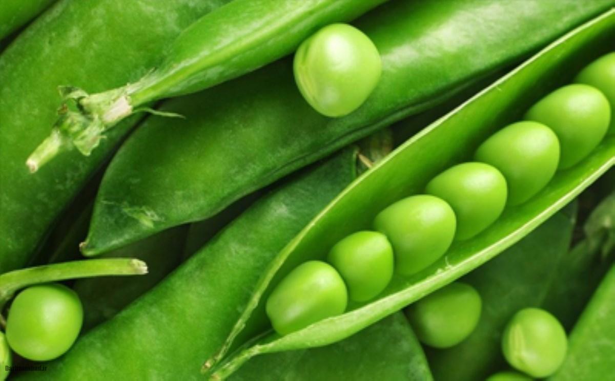 لوبیا سبز
