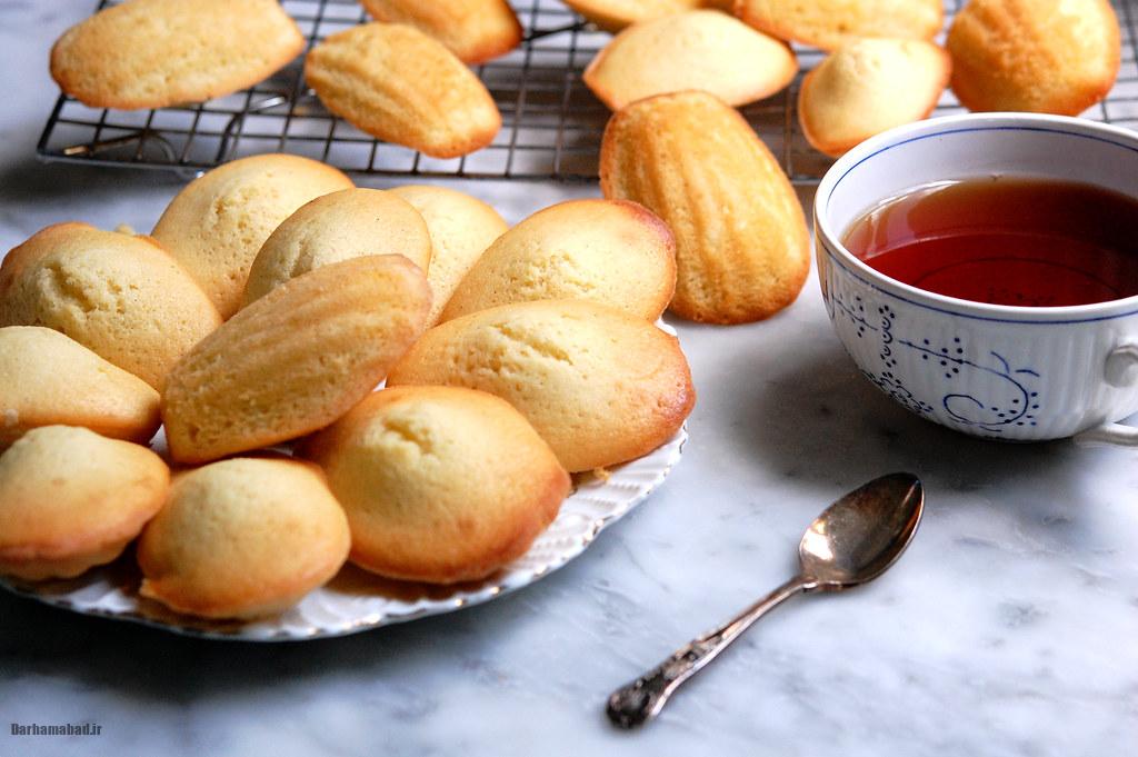 madeleines-france2 کیک کوچک فرانسوی