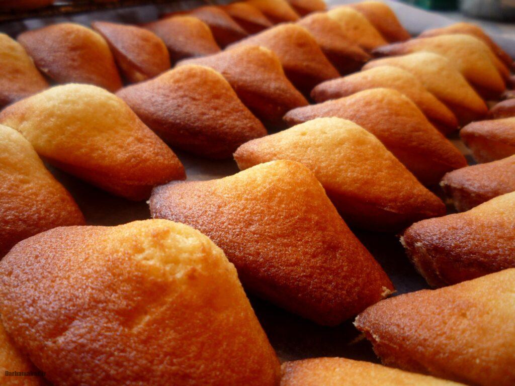 madeleines-france5 کیک فرانسوی