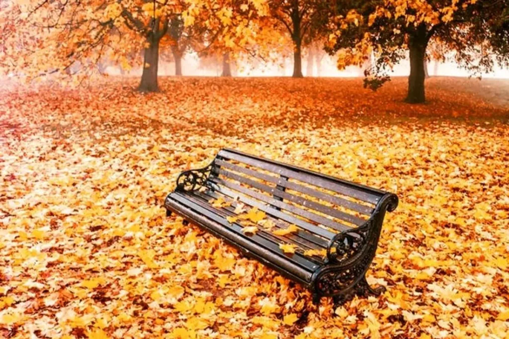 جاهای دیدنی تهران در پاییز جاهای دیدنی تهران در پاییز