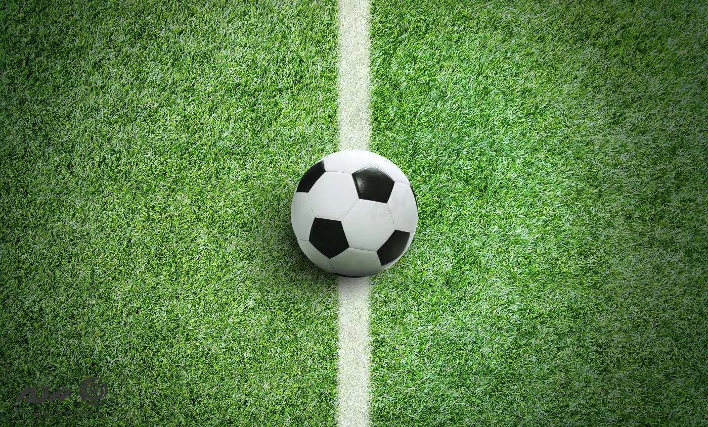 سیلی بازیکن به داور زن