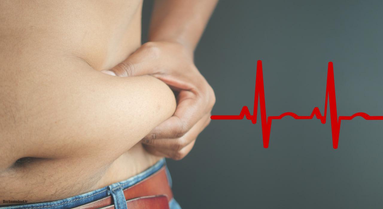 چربی شکمی و سلامت قلب