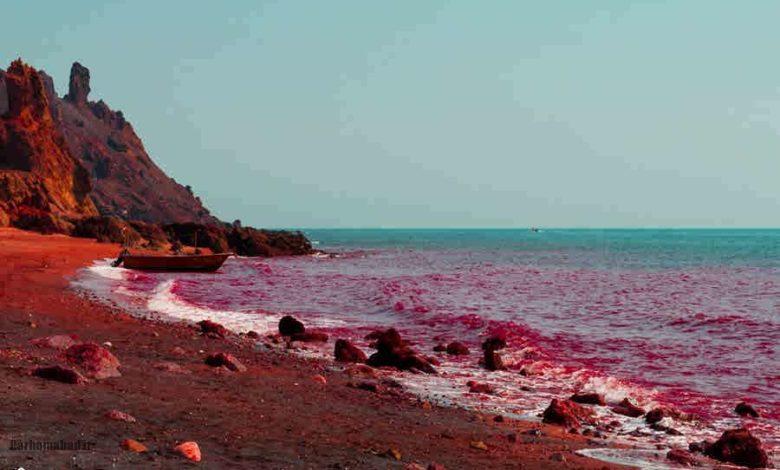 جزیره قشم جزیره قشم