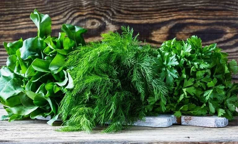 سبزی های لازم برای قورمه سبزی سبزی های لازم برای قورمه سبزی