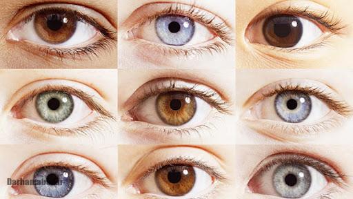 شخصیت شناسی رنگ چشم