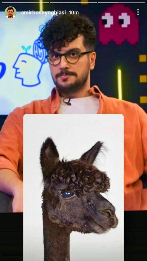 امیرحسین قیاسی