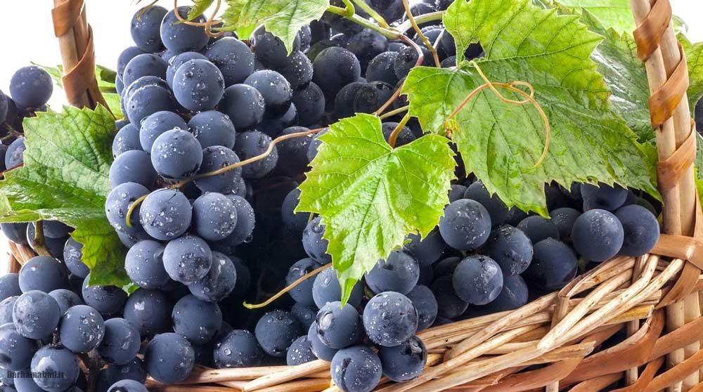 انگور شانی