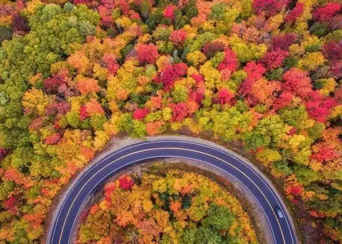 کمپینگ پاییزی ایران