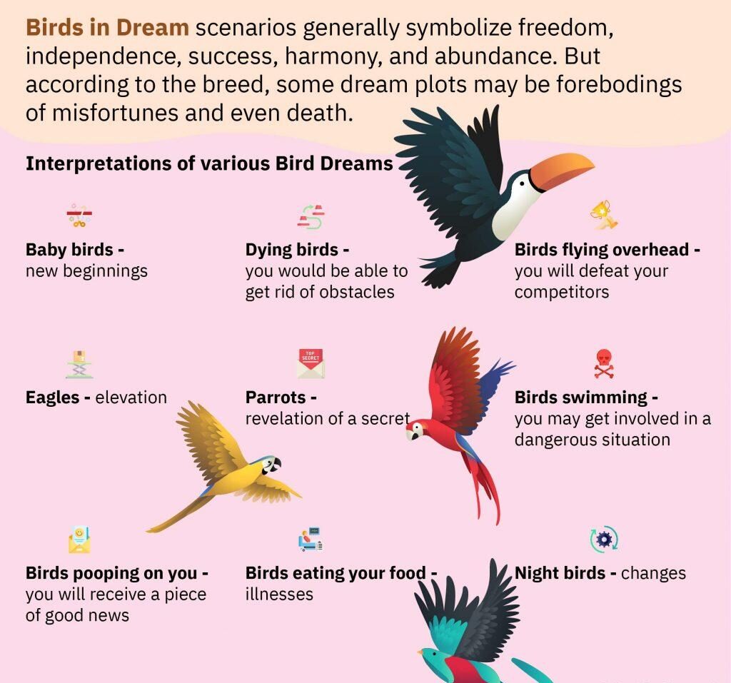 bird dream interpretation تعبیر پرنده در خواب