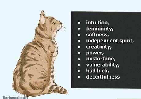 Cat dream interpretation تعبیر گربه در خواب