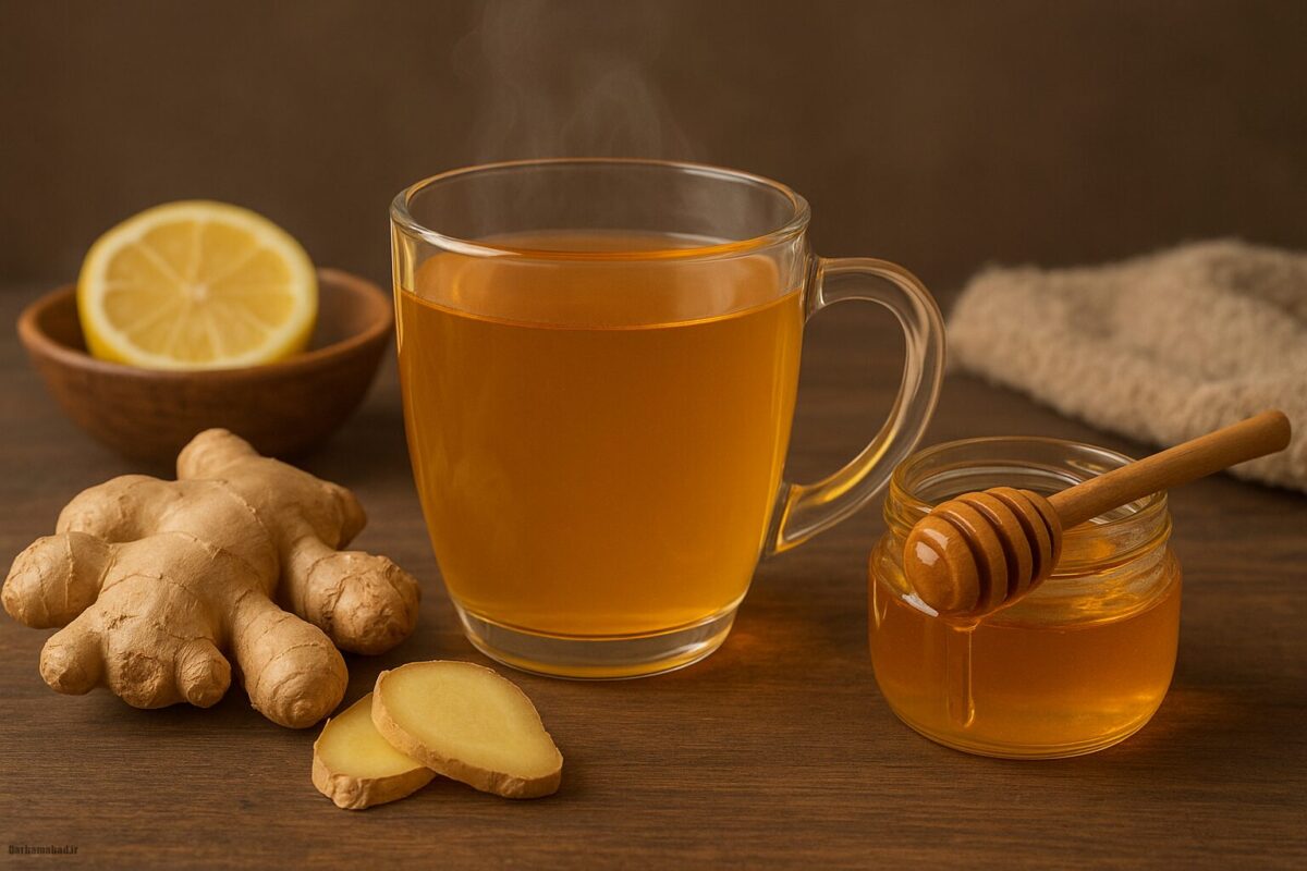 مسکنهای خانگی مسکنهای خانگی