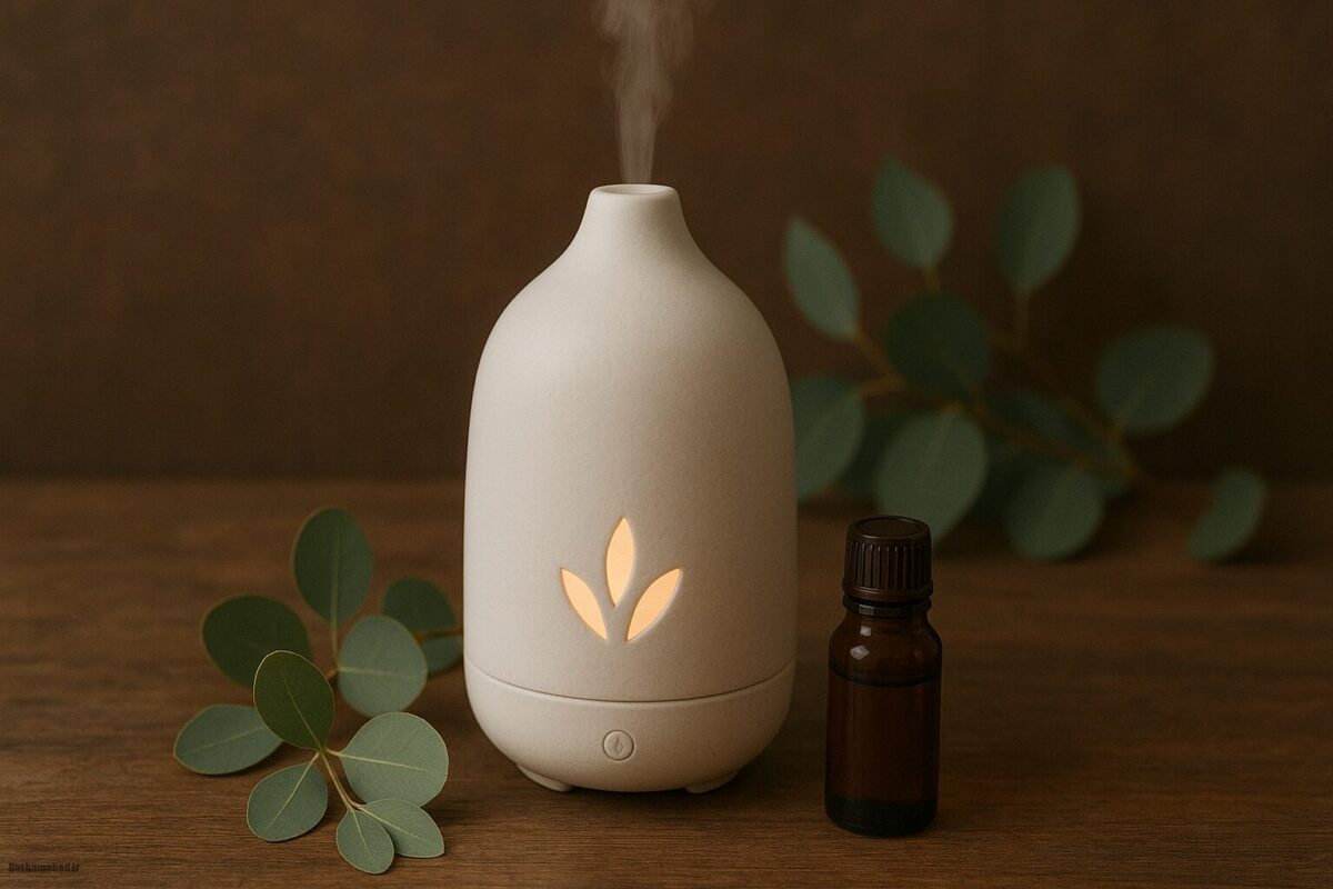 مسکنهای خانگی مسکنهای خانگی