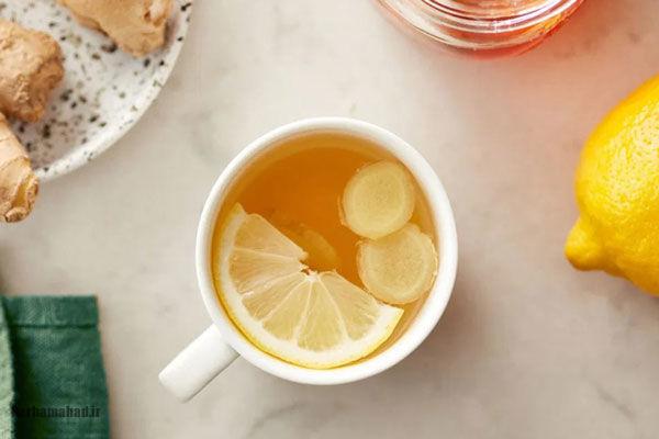 مسکنهای خانگی مسکنهای خانگی