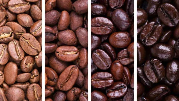 anvaa ghhooh rahnmay kamel danhha nvshidniha v rvsh dmavry