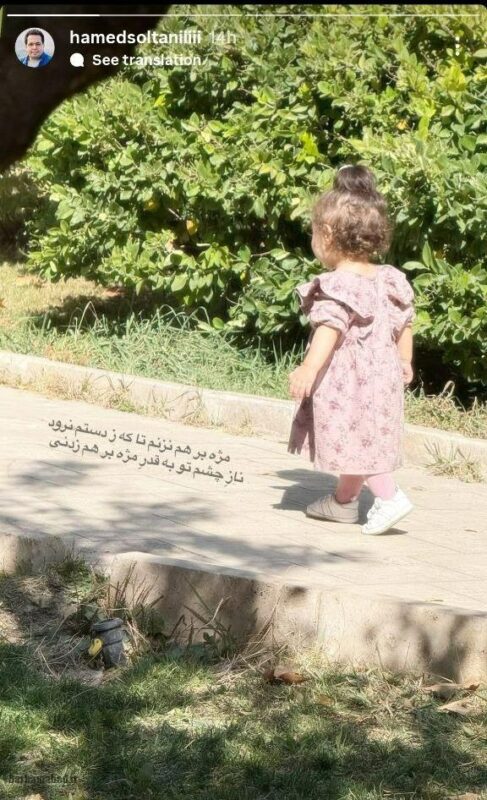 حامد سلطانی