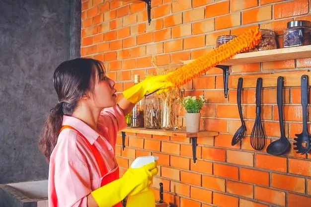 خانه داری خانه داری