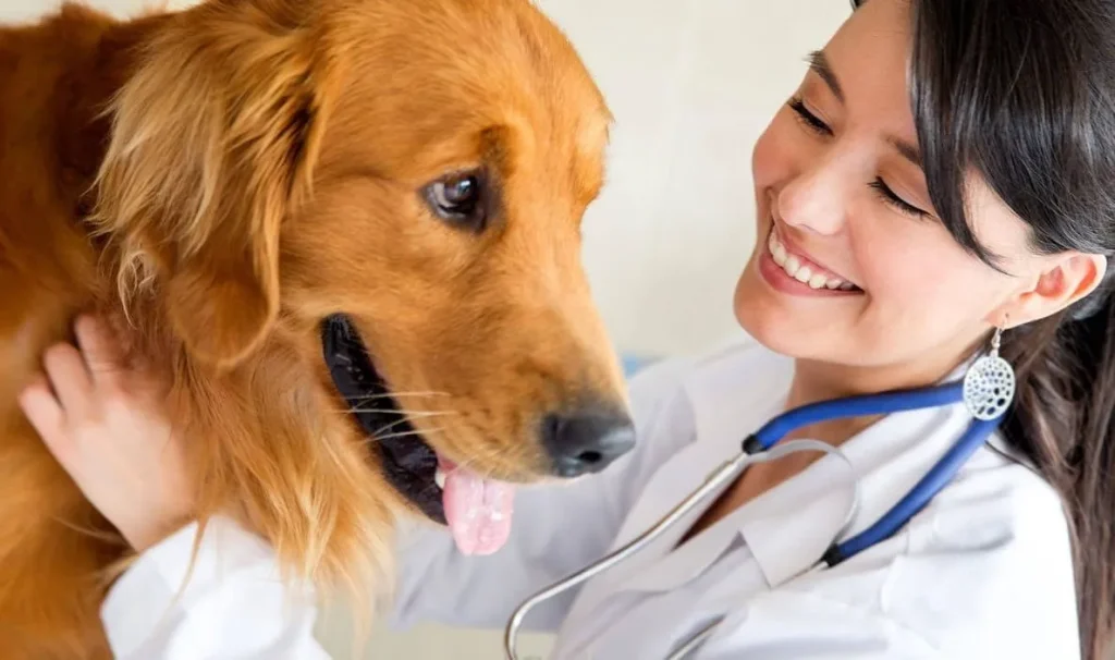 روز دامپزشک