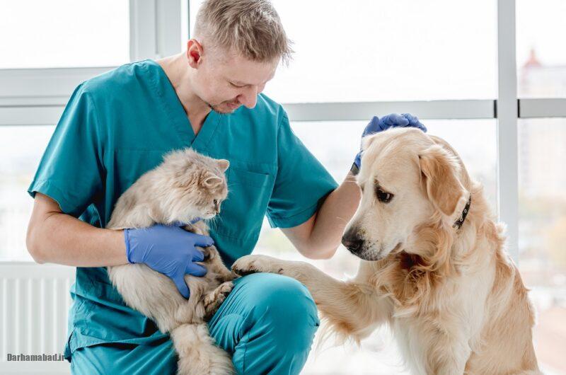 روز دامپزشک