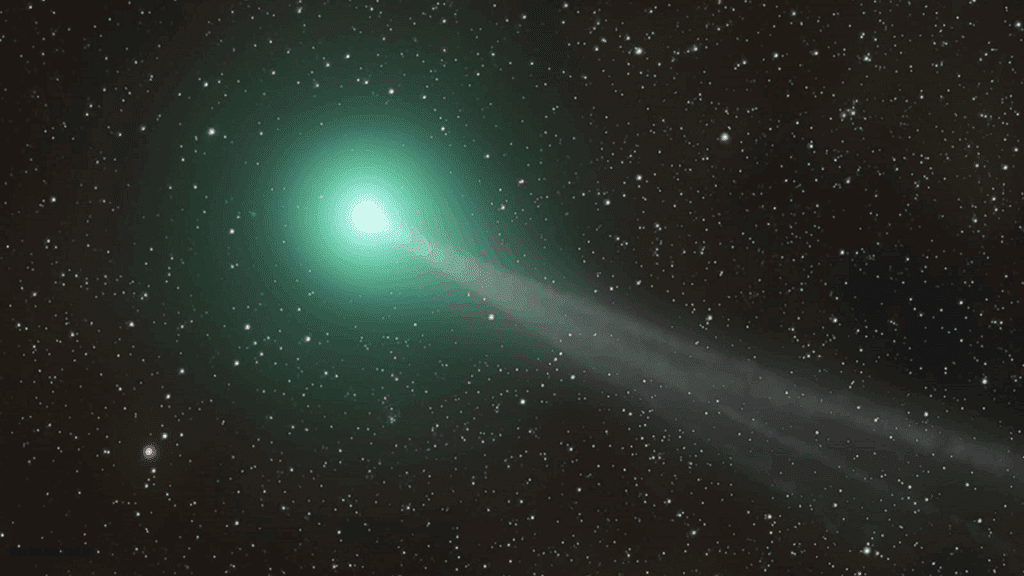 ستاره ستاره