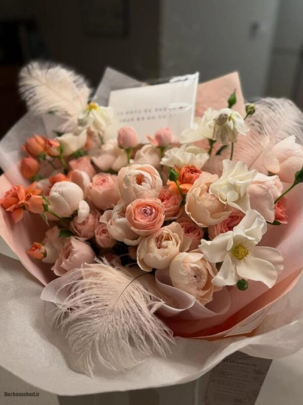 سوسانو سوسانو