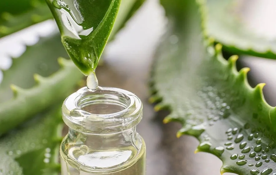 زخم دهانه رحم زخم دهانه رحم