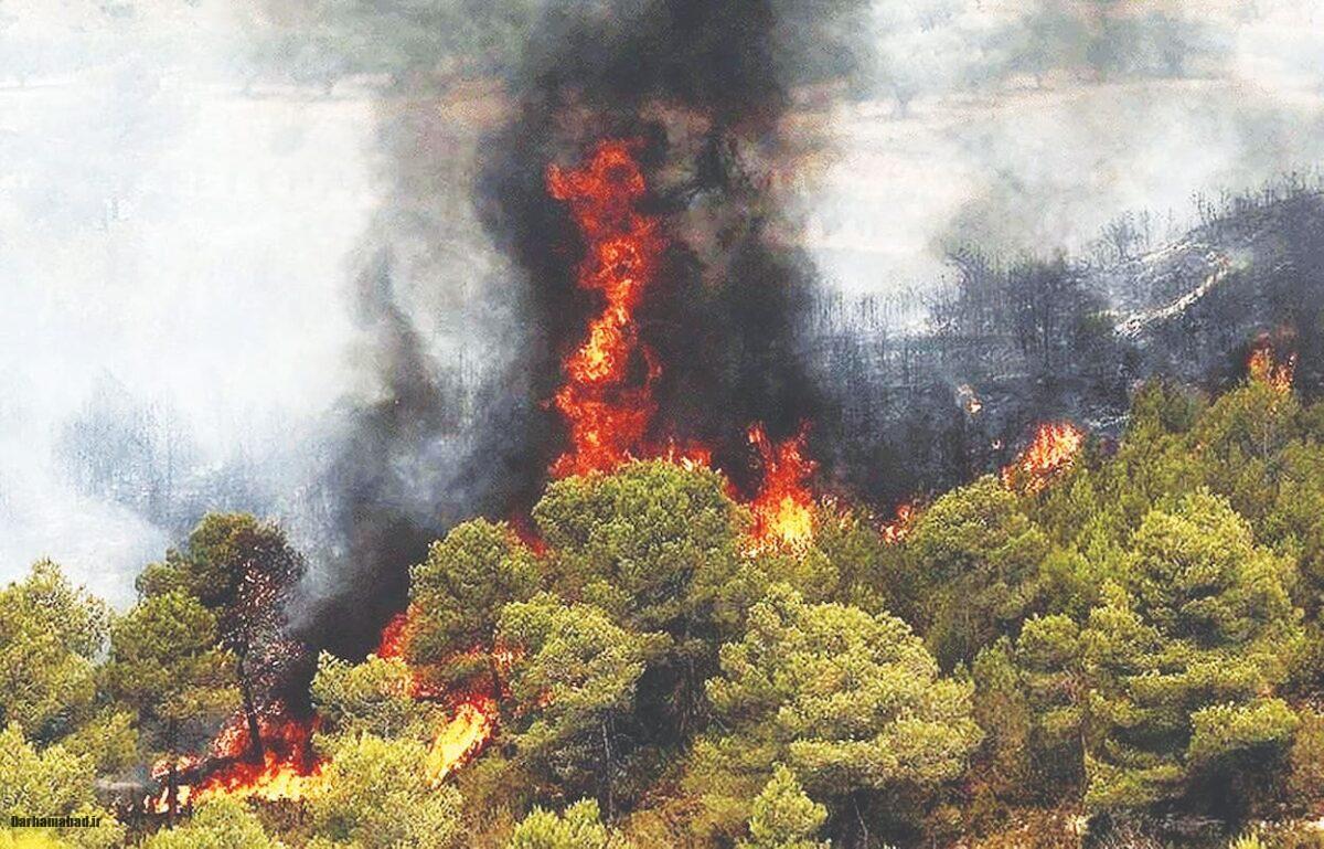 آتش سوزی جنگل