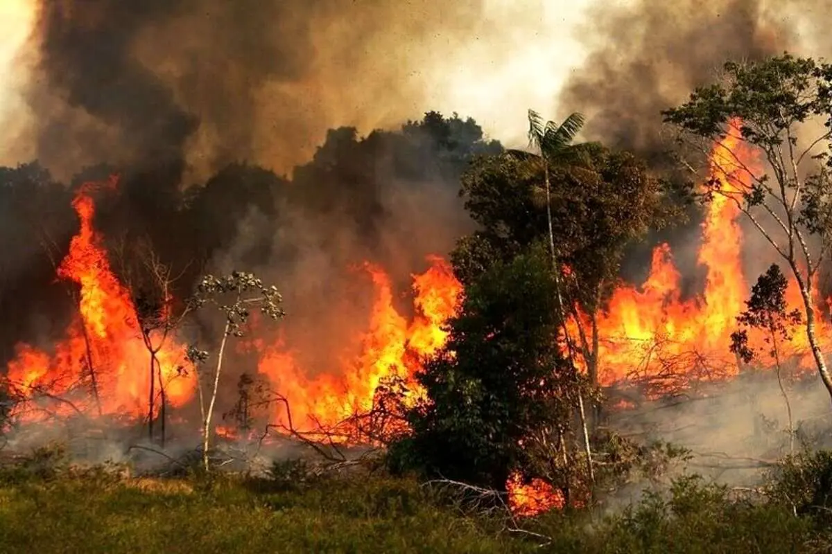 آتش‌سوزی جنگل‌های هیرکانی