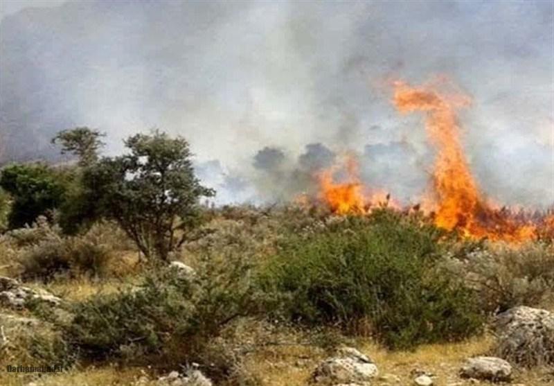 آتش‌سوزی جنگل‌های هیرکانی