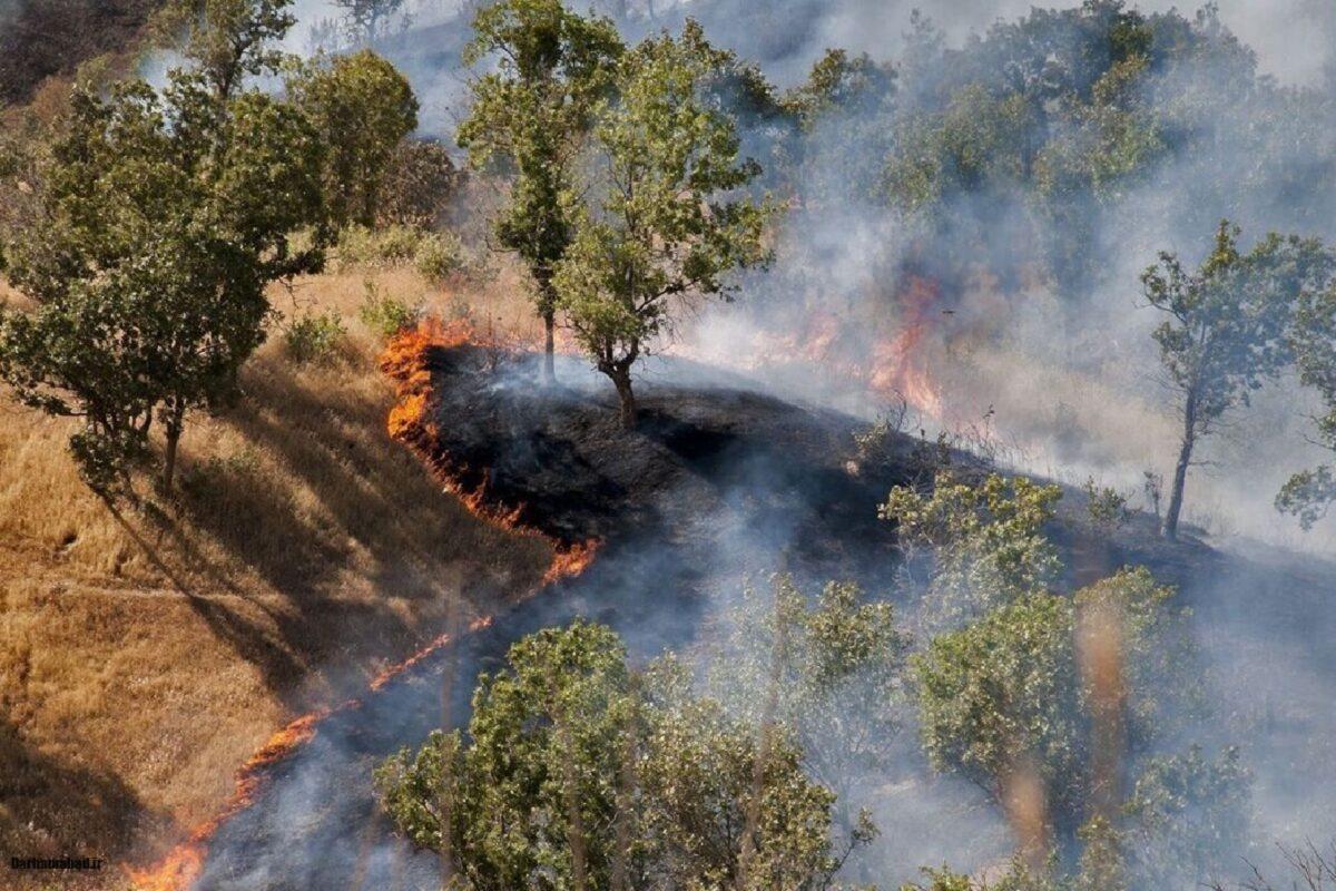 آتش‌سوزی جنگل‌های هیرکانی