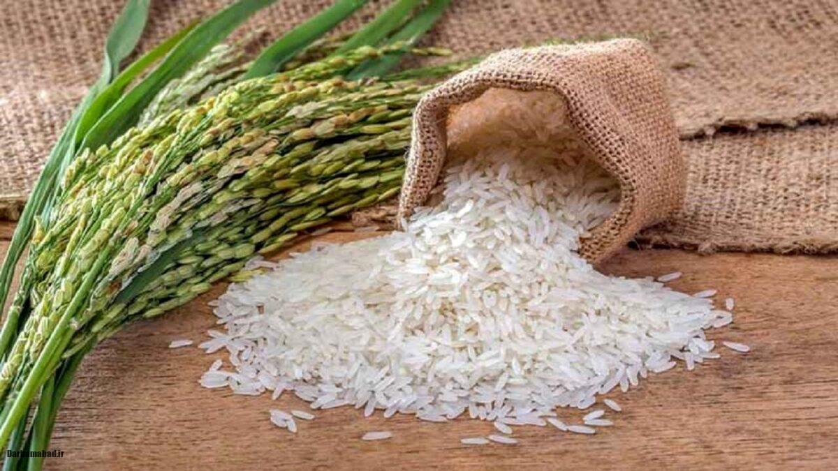 برنج ارزان