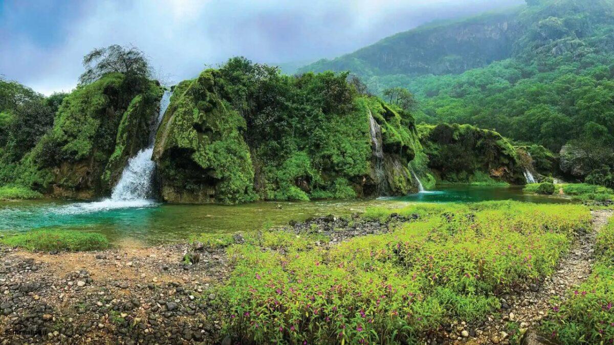 جنگلهای ایران