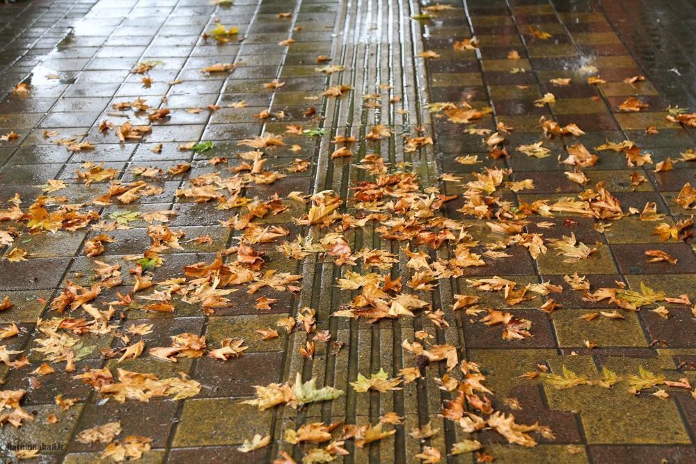 کاهش بارش در ایران کاهش بارش در ایران