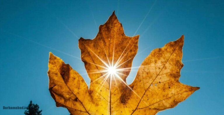 خواص نور آفتاب