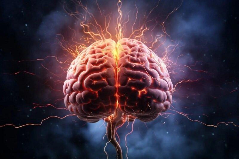 جوان تر کردن مغز جوان تر کردن مغز